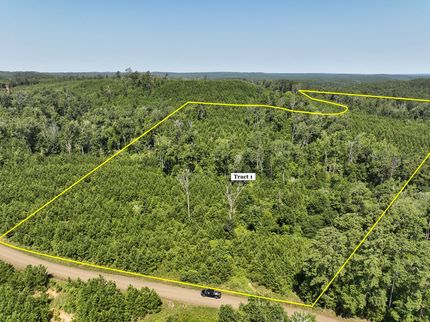 Land for sale in Sabine County, Texas