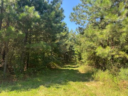 Land for sale in Tallapoosa County, Alabama