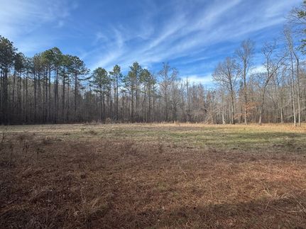 Land for sale in Hale County, Alabama