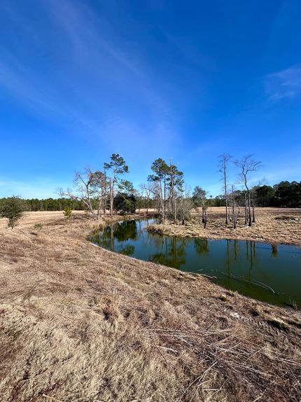 Land for sale in Bryan County, Georgia