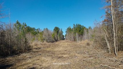 Land for sale in Angelina County, Texas