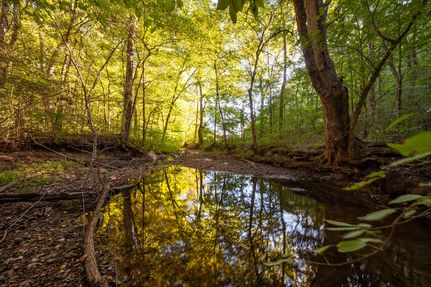 Land for sale in Maury County, Tennessee