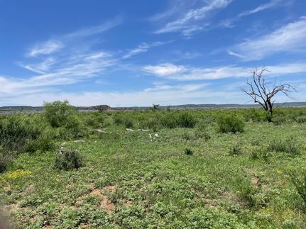 Land for sale in Taylor County, Texas