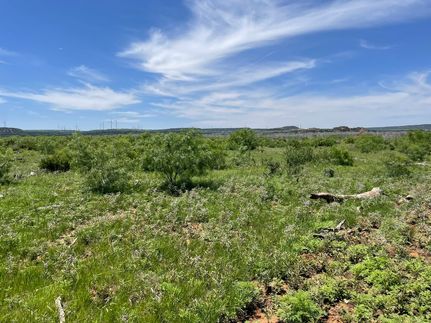 Land for sale in Taylor County, Texas