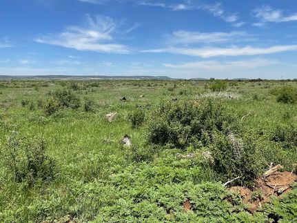 Land for sale in Taylor County, Texas