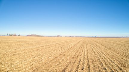 Land for sale in Webster County, Iowa