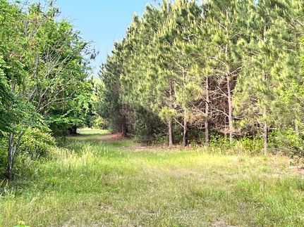 Land for sale in Laurens County, Georgia