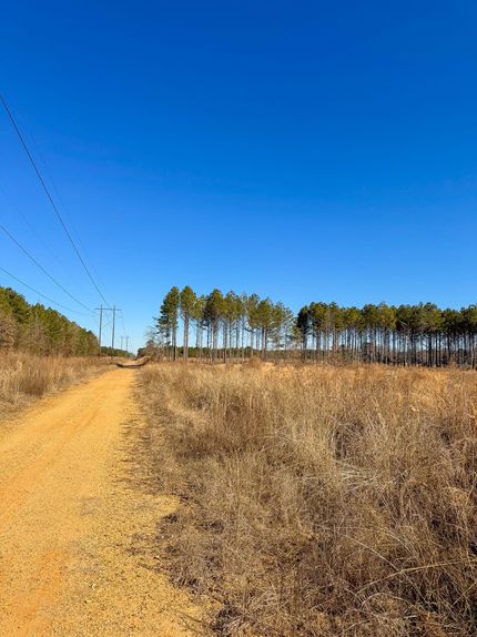 Land for sale in Ashley County, Arkansas