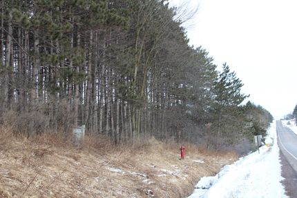 Land for sale in Taylor County, Wisconsin