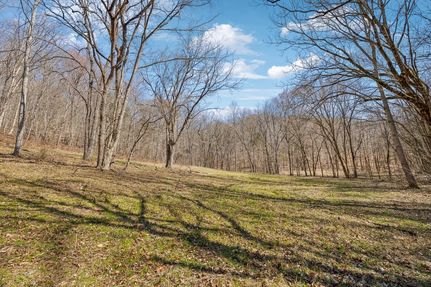 Land for sale in Clay County, Tennessee