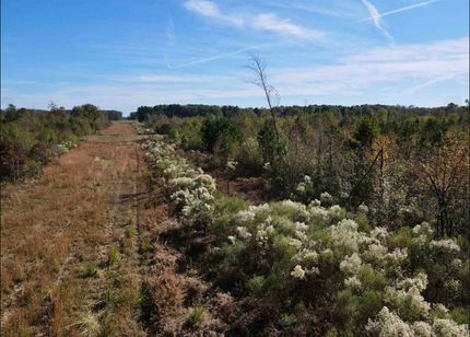 Land for sale in White County, Arkansas