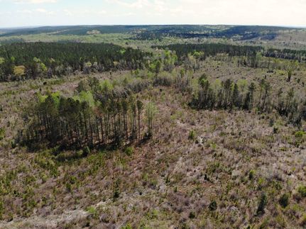 Land for sale in Barbour County, Alabama