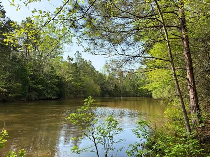 Land for sale in Shelby County, Texas