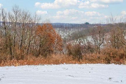 Land for sale in Crawford County, Wisconsin