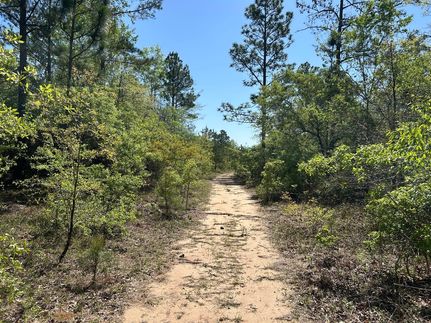 Land for sale in Bibb County, Georgia