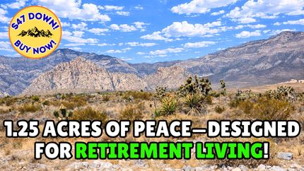 Homesite for sale in Navajo County, Arizona