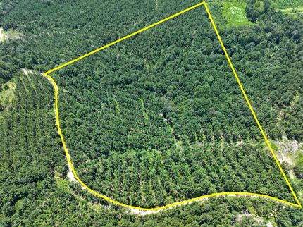 Land for sale in Angelina County, Texas