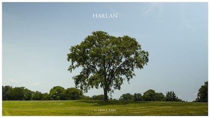 Homesite for sale in Williamson County, Tennessee