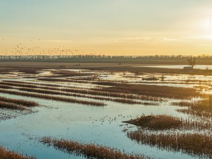 Land for sale in Carroll County, Missouri