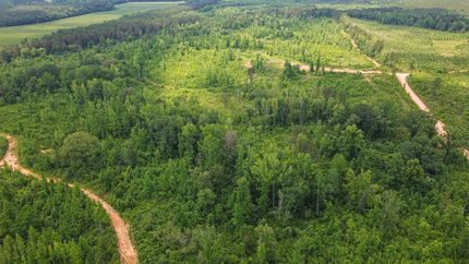 Land for sale in Webster County, Mississippi