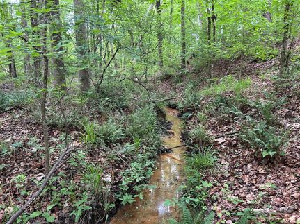 Land for sale in Putnam County, Georgia