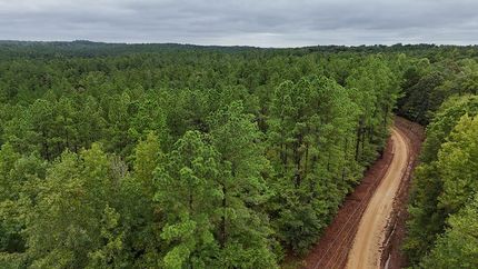 Land for sale in Carroll County, Mississippi