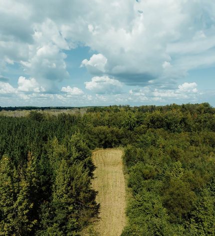 Land for sale in Lamar County, Alabama