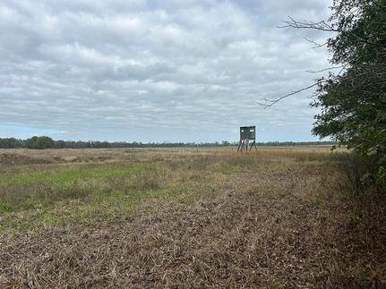 Land for sale in Humphreys County, Mississippi