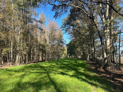 Land for sale in Issaquena County, Mississippi