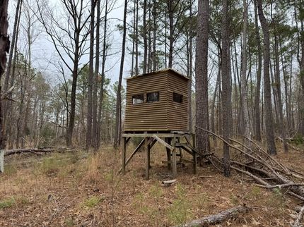 Land for sale in Benton County, Mississippi