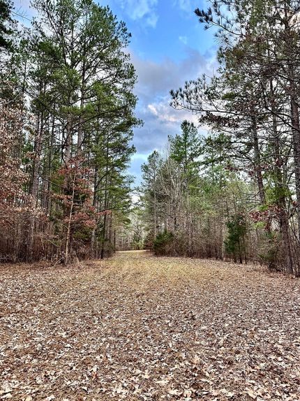 Land for sale in Benton County, Mississippi