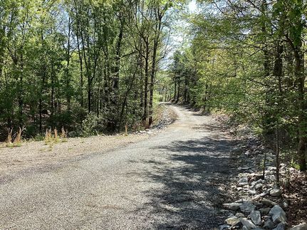 Land for sale in Polk County, Arkansas