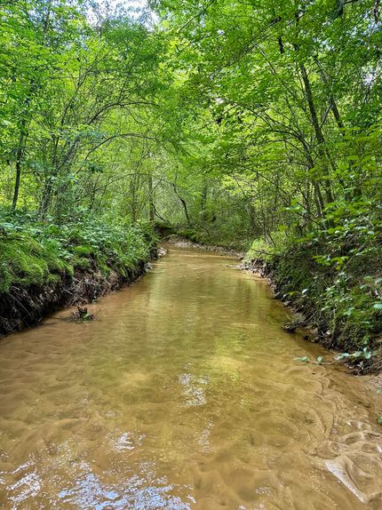 Land for sale in Winston County, Mississippi