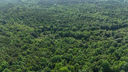 Timberland Property for sale in Itawamba County, Mississippi