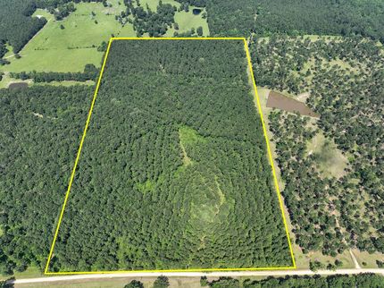 Land for sale in Trinity County, Texas