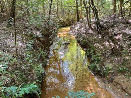 Land for sale in Sabine County, Texas