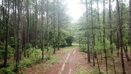 Land for sale in Bibb County, Georgia