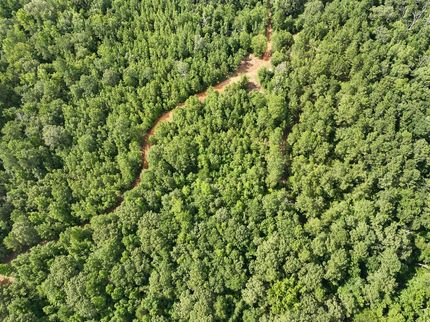 Land for sale in Houston County, Texas