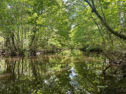 Land for sale in Washington County, Georgia