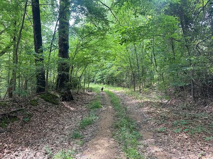 Land for sale in Yazoo County, Mississippi