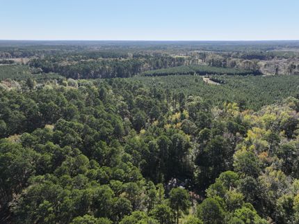 Land for sale in Bienville Parish, Louisiana