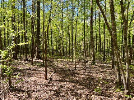 Undeveloped Land for sale in Elmore County, Alabama
