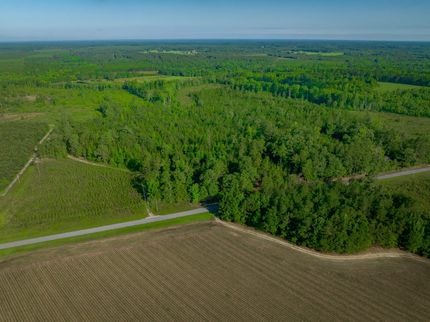 Land for sale in Barnwell County, South Carolina