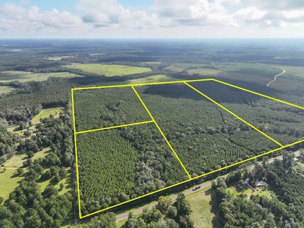 Land for sale in Jasper County, Texas
