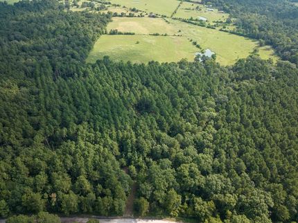 Land for sale in Trinity County, Texas