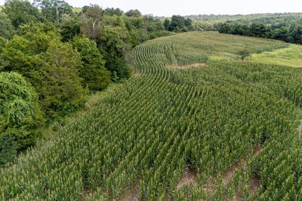 Farm and Ranch for sale in Union County, Illinois