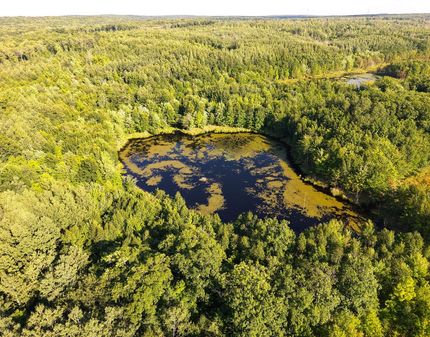 Land for sale in Sawyer County, Wisconsin