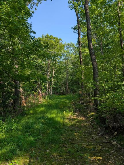 Land for sale in Sawyer County, Wisconsin