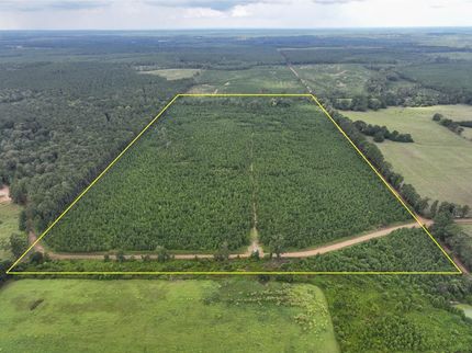 Land for sale in Sabine Parish, Louisiana