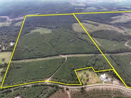 Land for sale in Polk County, Texas